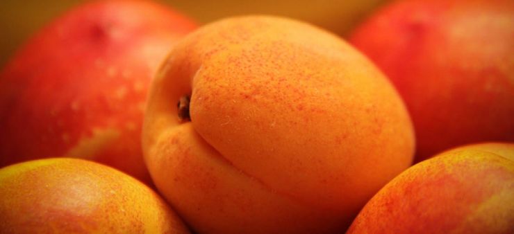 Ароматные абрикосы